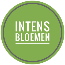 intens-bloemen.png